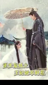 《重生复仇之王妃她不好惹》：逆天改命，虐渣复仇，看现代女强人如何玩转古代后宫！