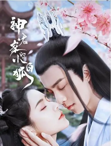 《神君家的小白狐》：萌宠逆袭还是情根深种？这只小白狐不简单！
