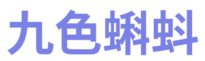 九色蝌蚪 Logo